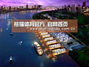 案例展示八