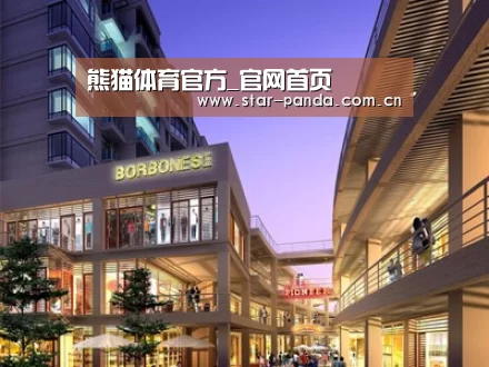 案例展示一