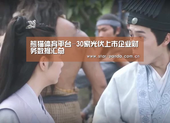 熊猫体育平台-30家光伏上市企业财务数据汇总(图1) 熊猫体育官网