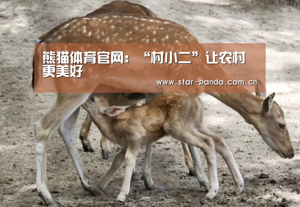 熊猫体育官网:“村小二”让农村更美好(图1) 熊猫体育平台